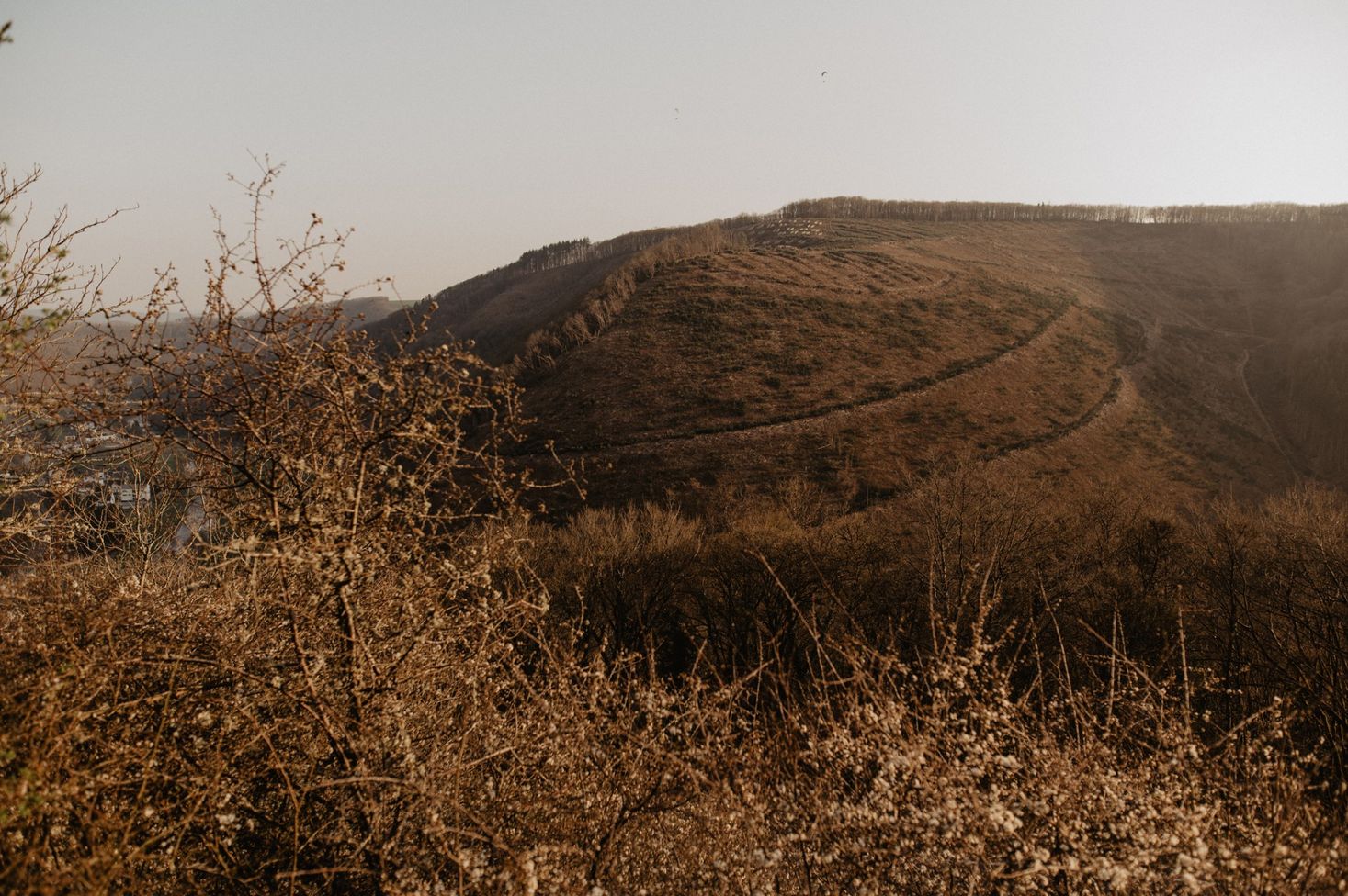 A nature photo of a viewpoint showing a mountain and a lot of undergrowth. The landscape is autumnal and taken at dusk.