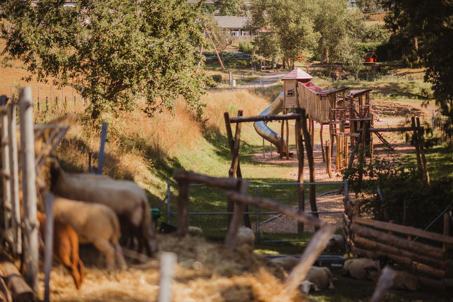 View of a nature trail with pastures where various animals peacefully graze.