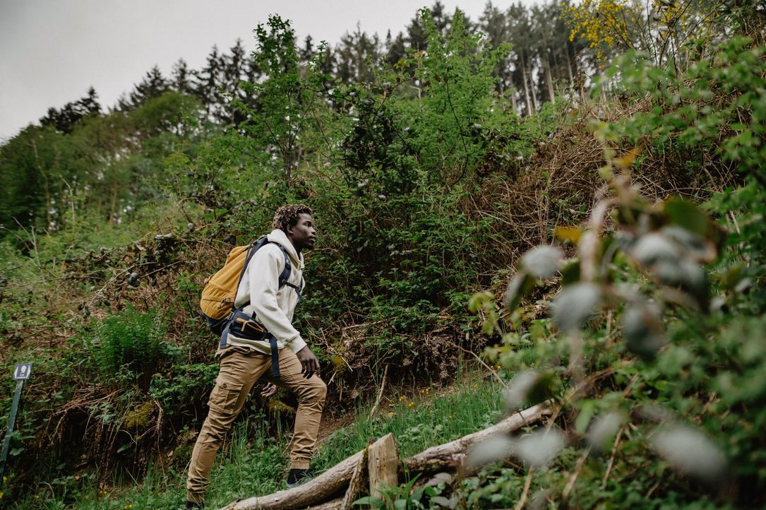 A person is hiking up the mountain, wearing a yellow backpack and surrounded by tall hedges.