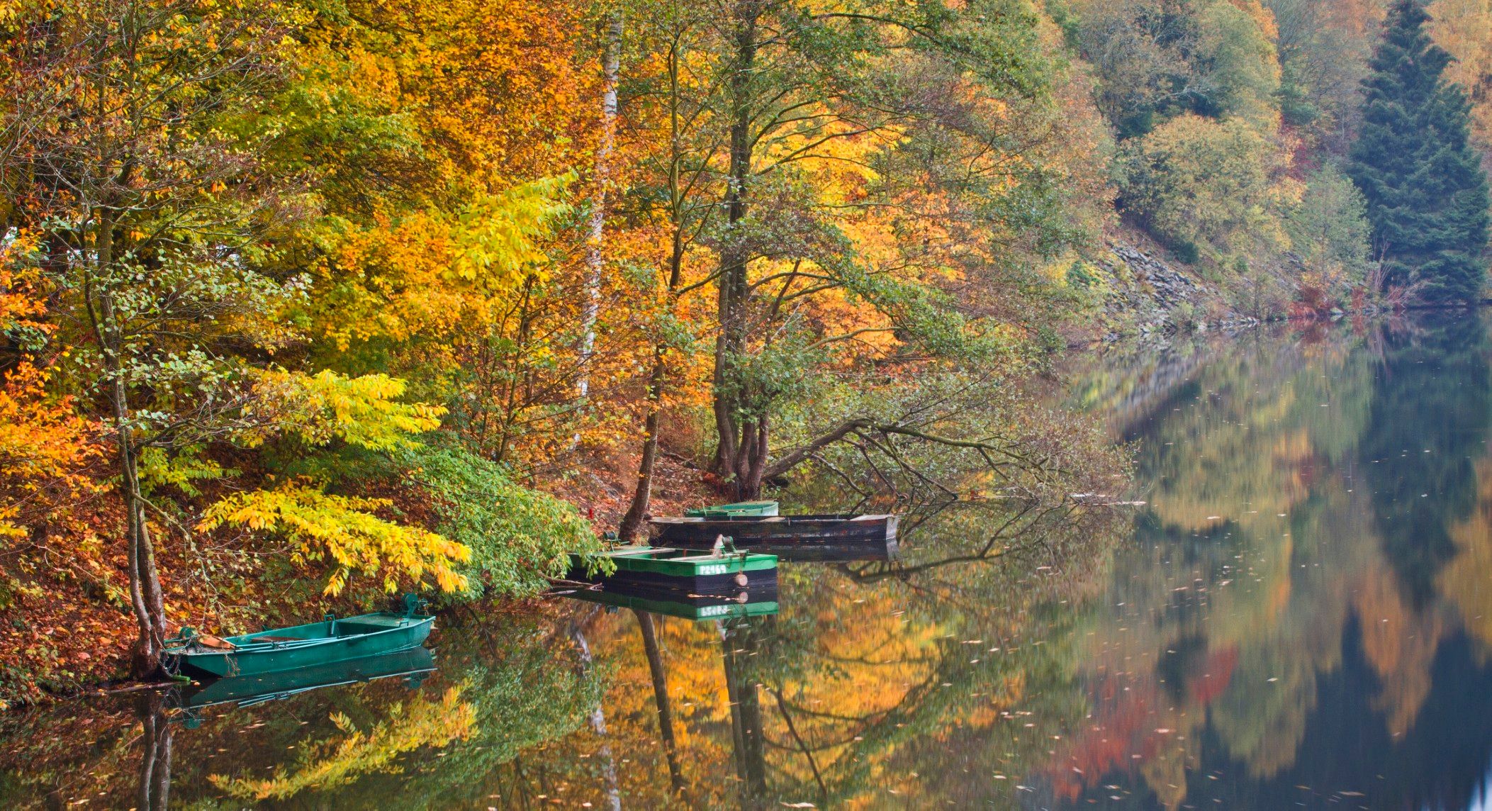 A river landscape surrounded by trees, with boats resting on the shore.