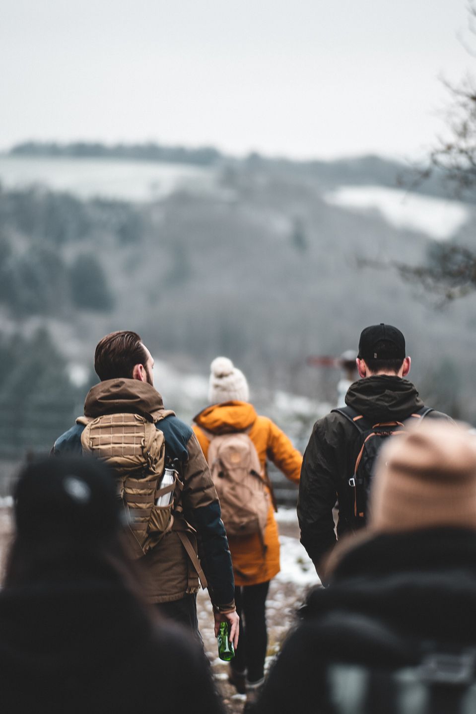 A view from behind of five young people dressed warmly walking on a snowy winter trail.