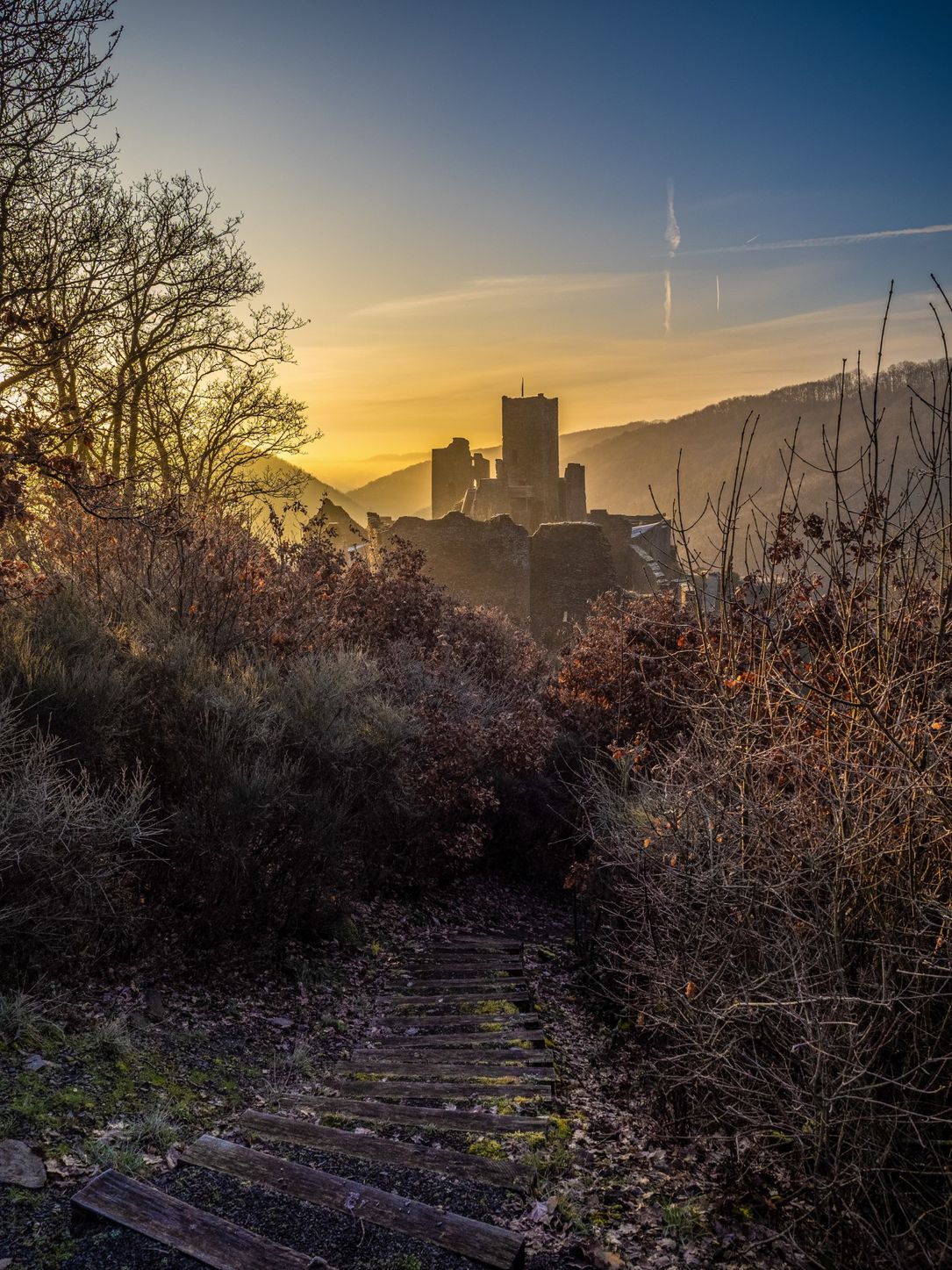 A castle in the background of a sunrise in the forest.