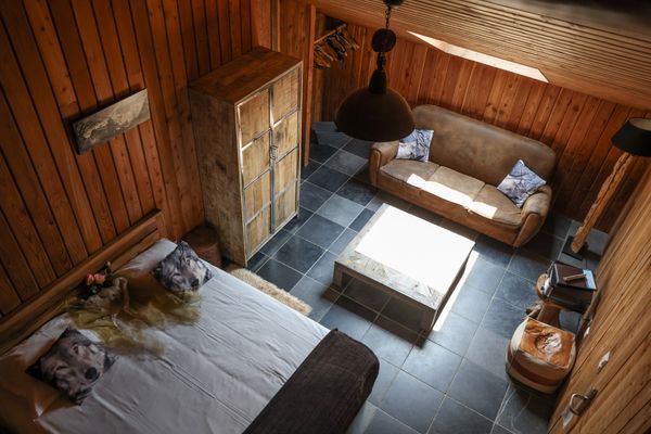 A bed and a couch in a cozy, wood-paneled room, photographed from above.